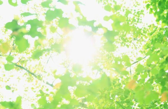 交通事故でお車の修理をお考えの方へ